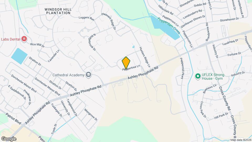 98 Peppertree Ln Map and Location Details