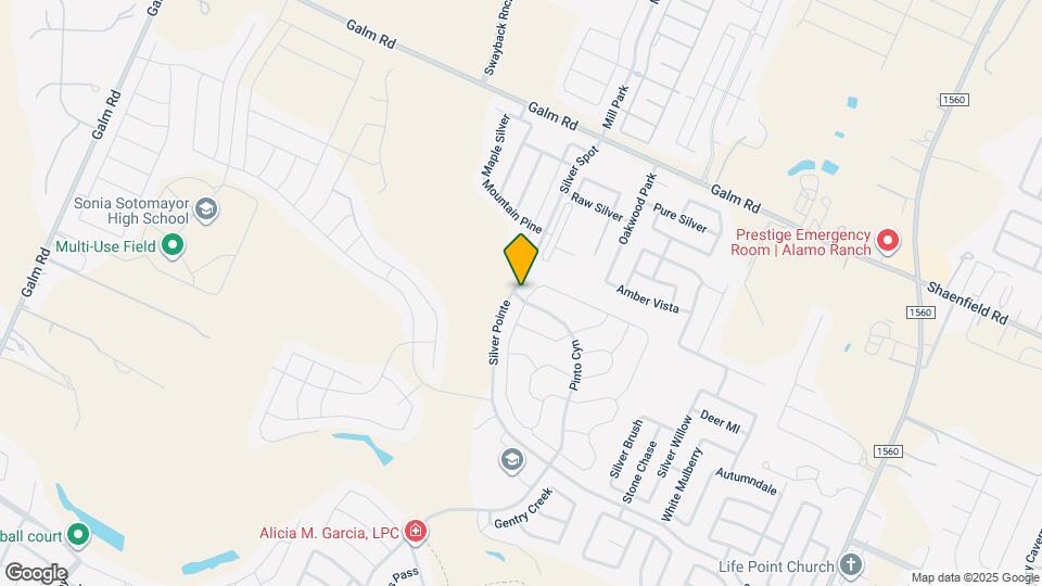 9003 Shady Mountain Map and Location Details