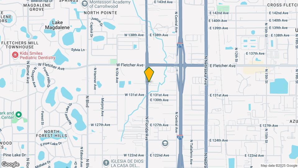 13119 N Florida Ave Mapa y Detalles de la Ubicación