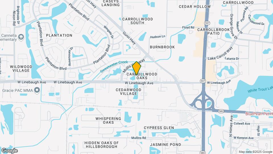 10125 Lake Oak Cir Mapa y Detalles de la Ubicación