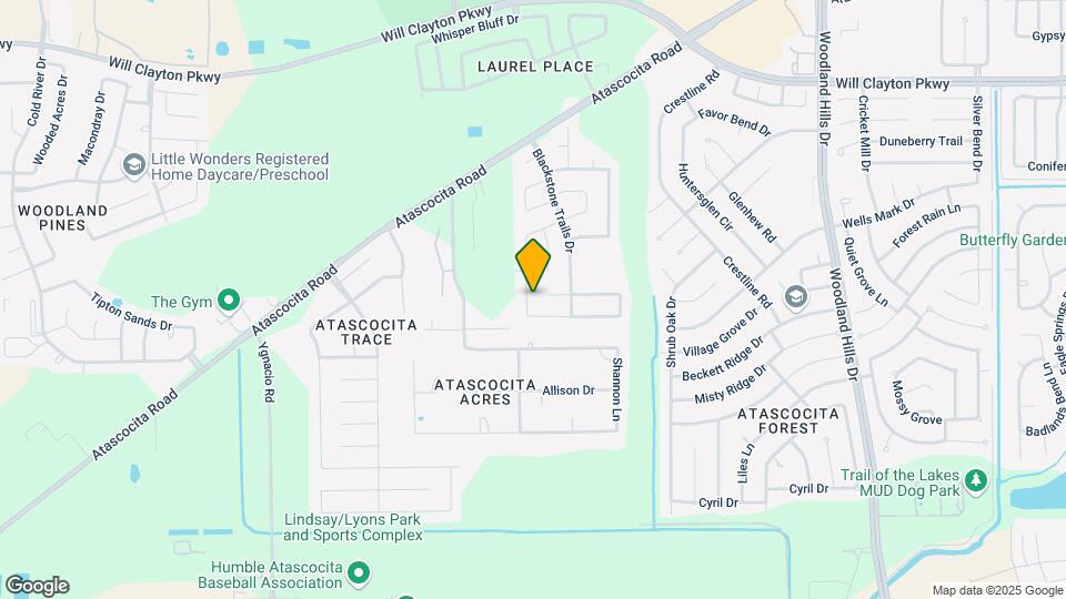 17222 Hannah Oaks Ln Map and Location Details