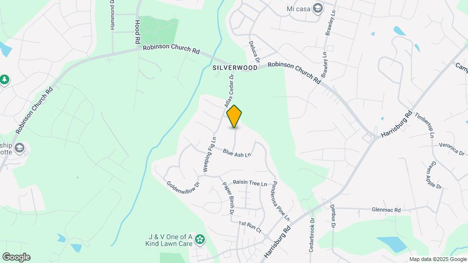 8151 Deodora Cedar Ln Mapa y Detalles de la Ubicación