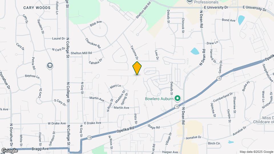 Northern Village Map and Location Details