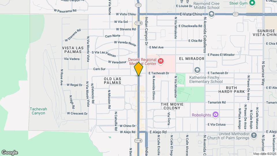 175 N Palm Canyon Dr Map and Location Details