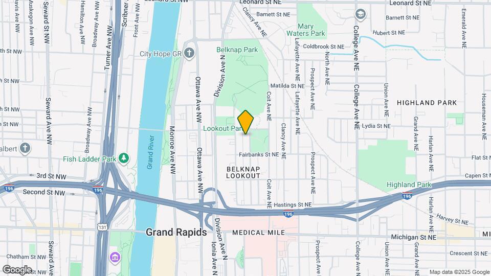 733 Livingston Ave NE Map and Location Details