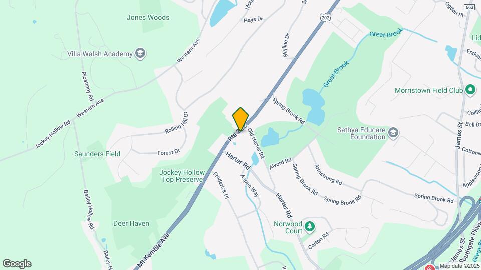 272 Mt Kemble Ave Map and Location Details