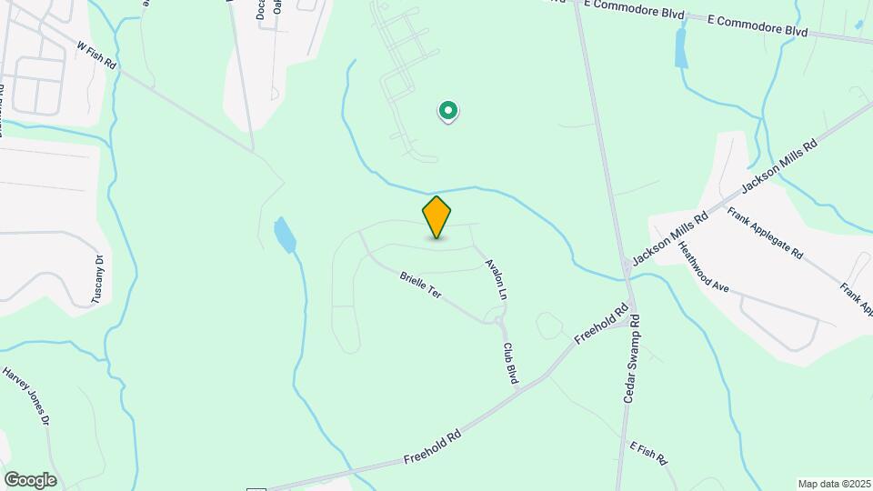 308 Mantoloking Dr Map and Location Details