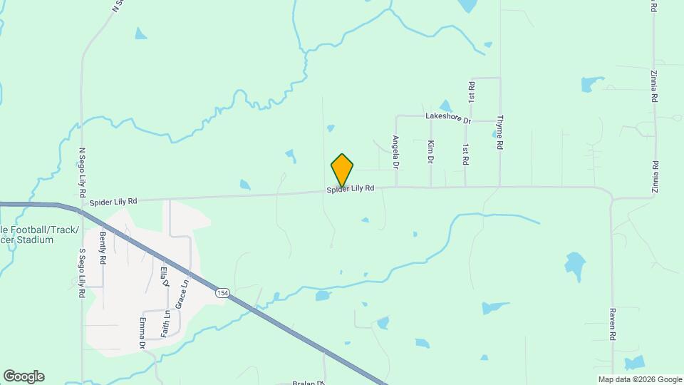 12550 Spider Lily Rd Rentals in Diana, TX