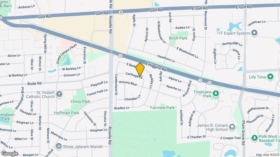 185 Carthage Ln Map and Location Details