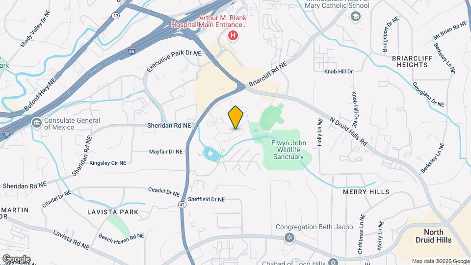 Ashford Druid Hills Map and Location Details