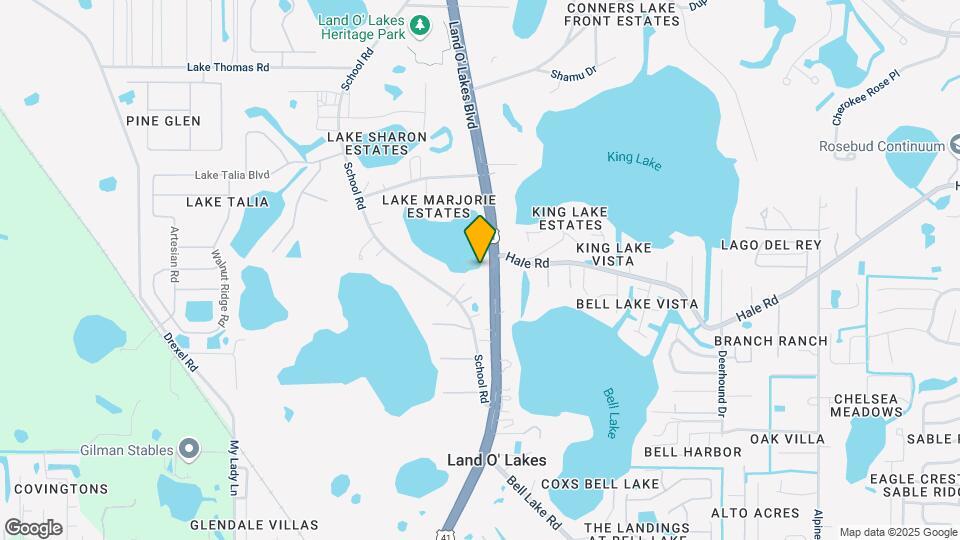 4701-4715 Land O Lakes Blvd Mapa y Detalles de la Ubicación