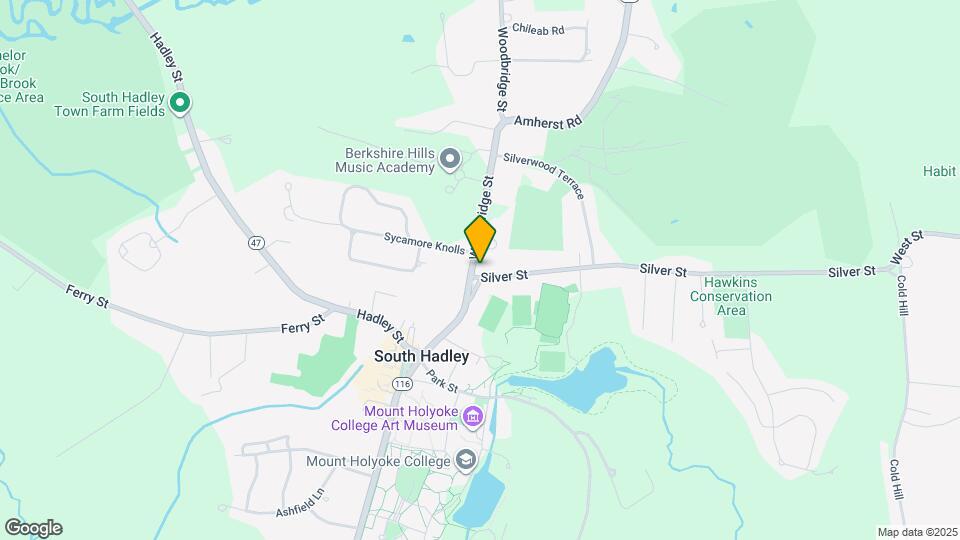 25 Woodbridge St Map and Location Details