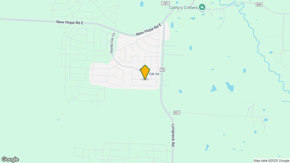209 Caliber Ct Mapa y Detalles de la Ubicación