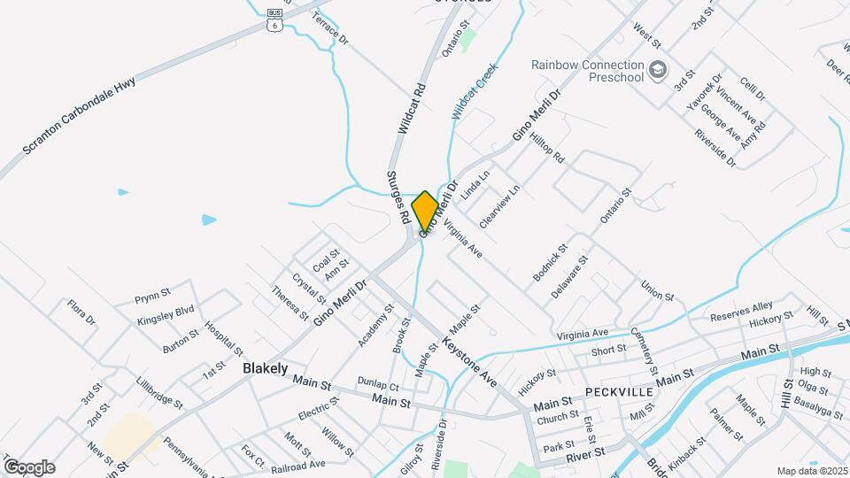 810 Gino Merli Dr Map and Location Details