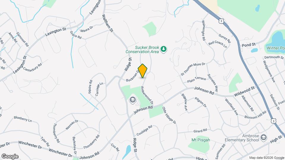 20 Amberwood Dr Mapa y Detalles de la Ubicación