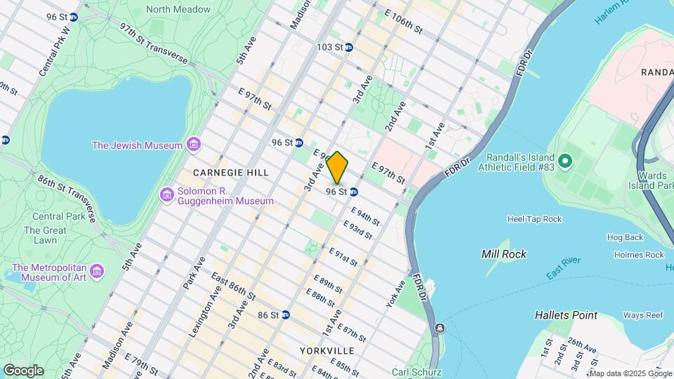 224 E 95th St Map and Location Details