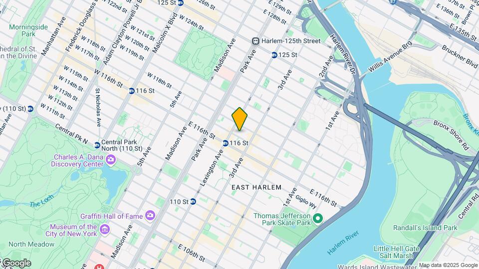 169 E 117th St Map and Location Details