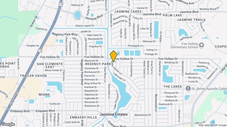 9910 Lake Chrise Ln Map and Location Details