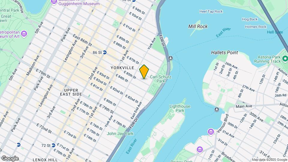 529 E 85th St Mapa y Detalles de la Ubicación
