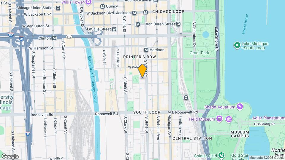 899 S Plymouth Ct Rentals in Chicago, IL