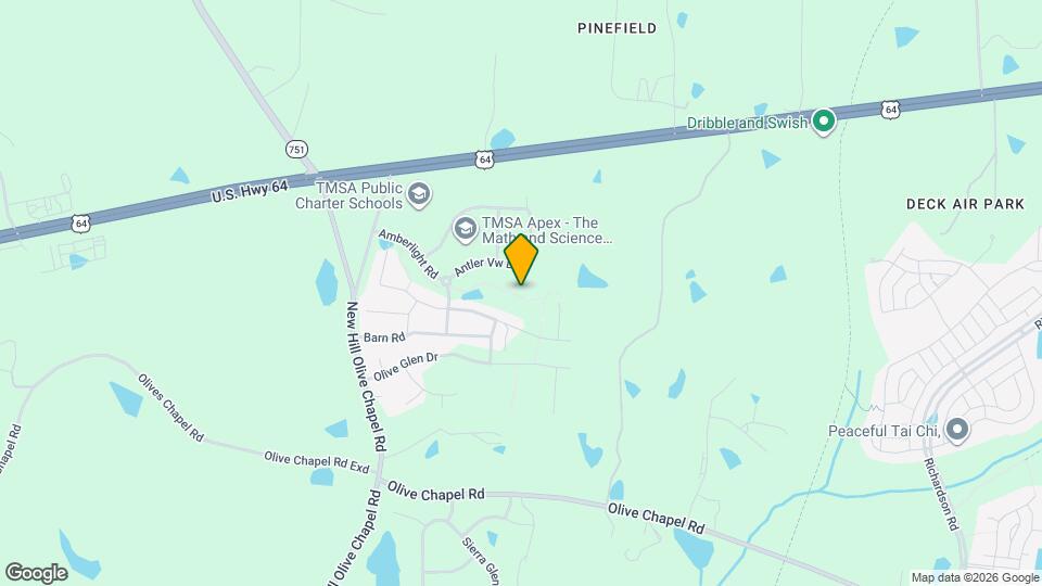 1195 Chestnut Bluff Run Map and Location Details