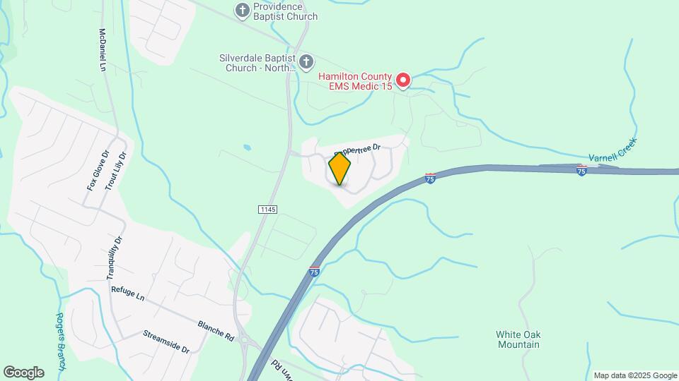 8802 Mckenzie Farm Dr Map and Location Details