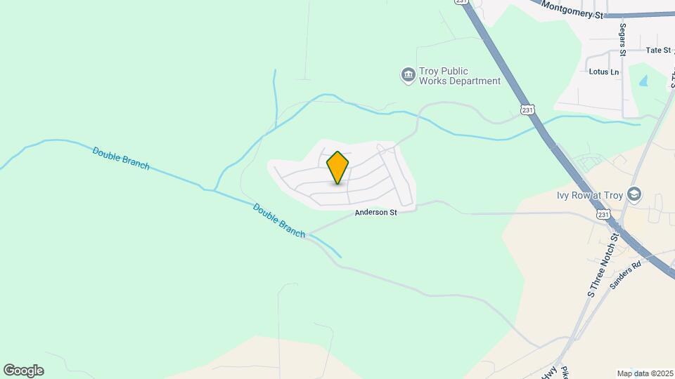 1251 Hunters Mountain Pkwy-Unit -1251 Map and Location Details