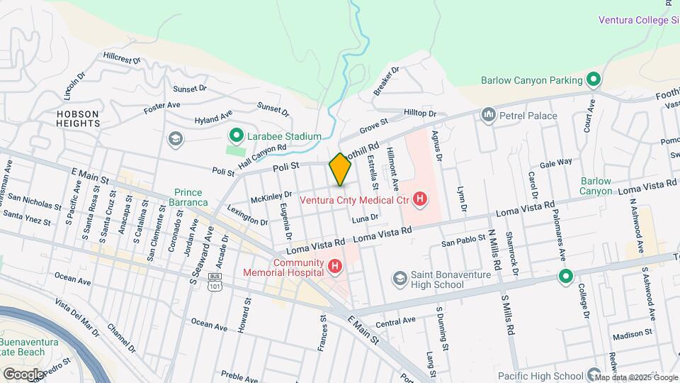 317 Homer Ave Map and Location Details