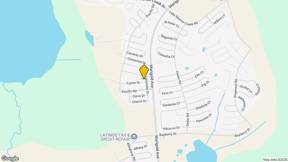 1554 Cumin Dr Mapa y Detalles de la Ubicación