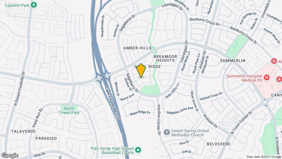 11009 Desert Dove Ave Mapa y Detalles de la Ubicación