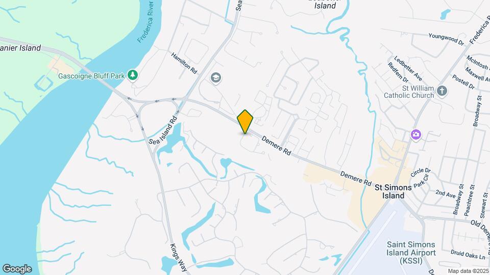 203 Reserve Ln Mapa y Detalles de la Ubicación