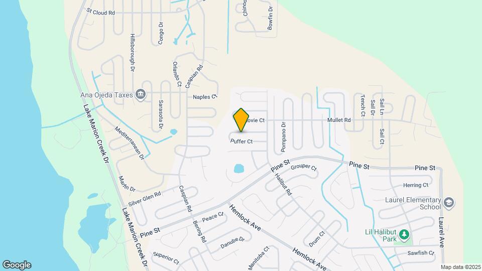 320 Puffer Ct Map and Location Details