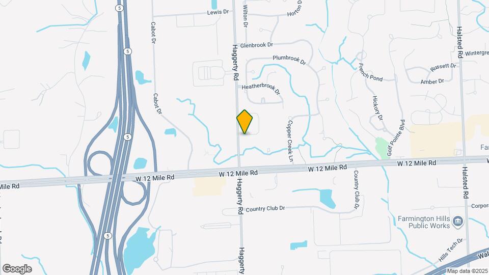 39206 Silverthorne Bend Map and Location Details