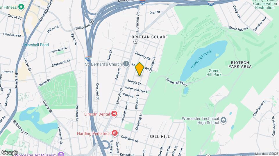 51 Windsor St Mapa y Detalles de la Ubicación