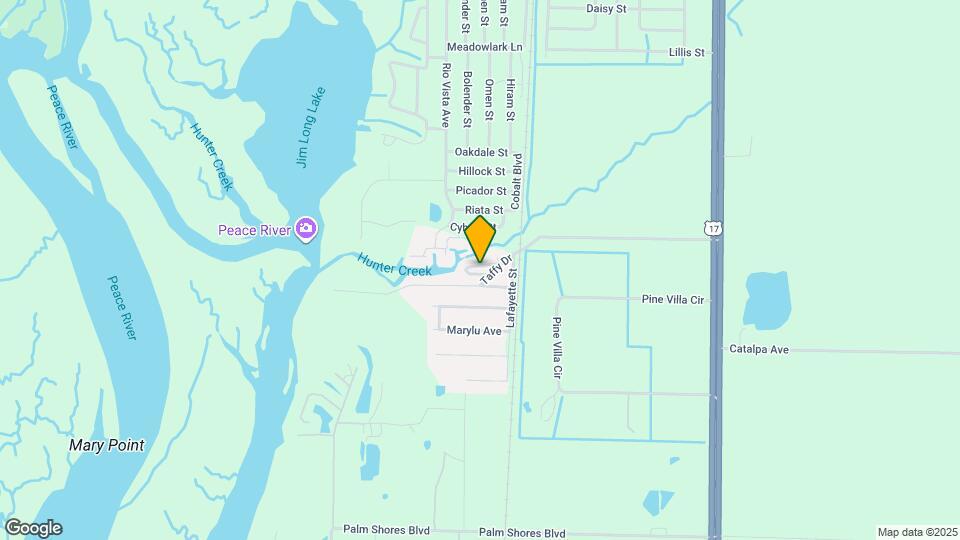 29215 Snook Cir Mapa y Detalles de la Ubicación
