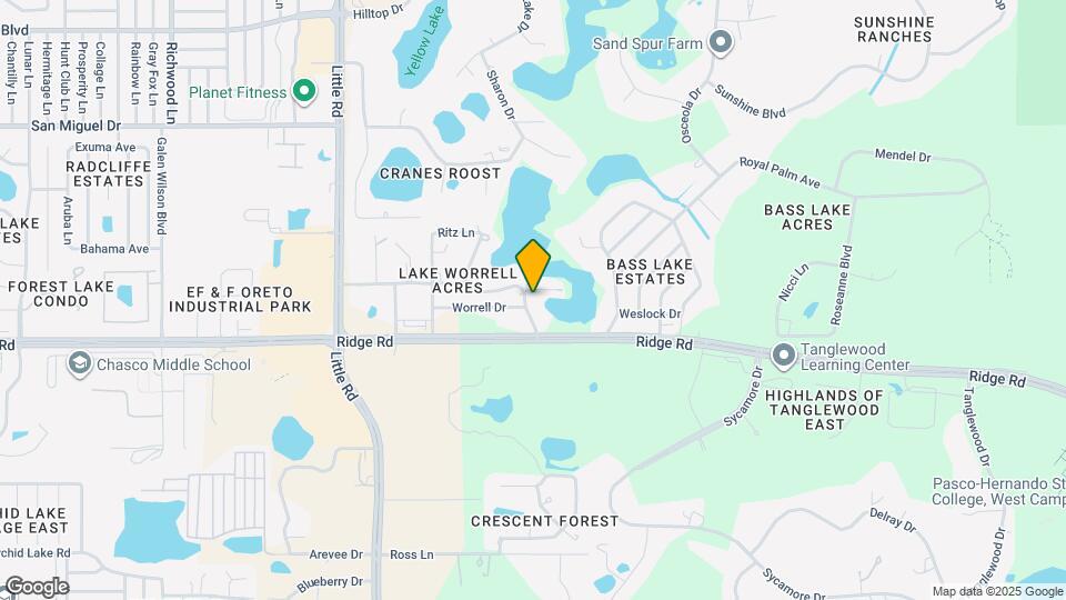 8546 Cameo Dr Map and Location Details