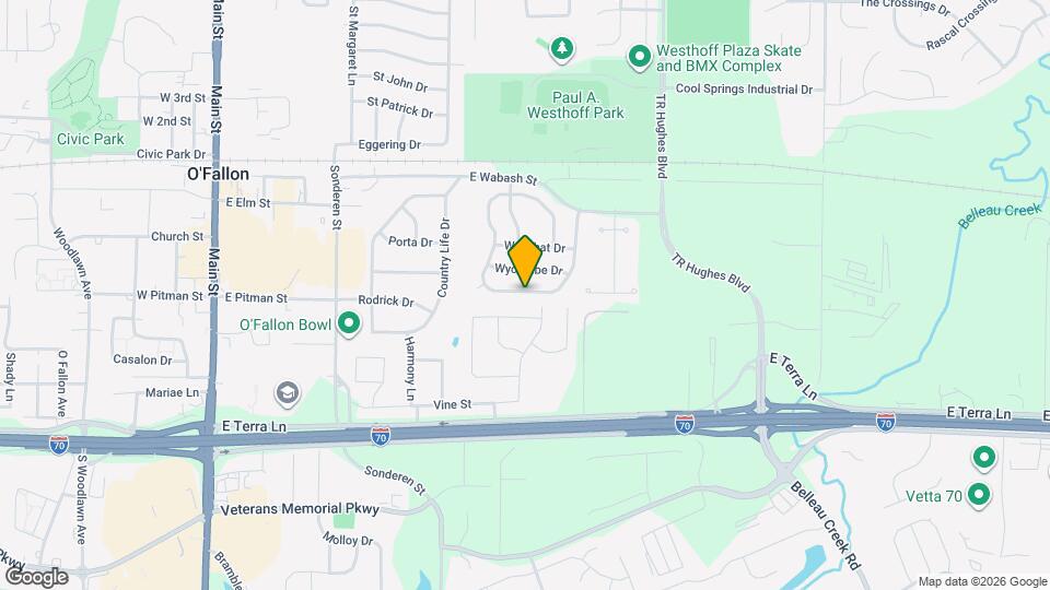 246 Wabash Woods Way Mapa y Detalles de la Ubicación