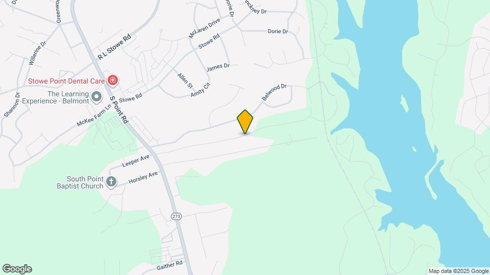 602 Rivermist Dr Mapa y Detalles de la Ubicación