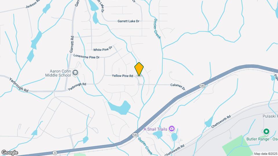 9795 Yellow Pine Rd Map and Location Details