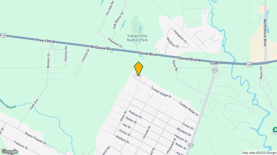 303 Timber Ridge Dr Map and Location Details