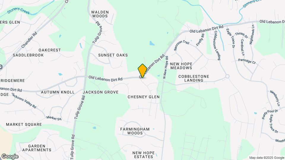 4205 Chesney Glen Dr Map and Location Details
