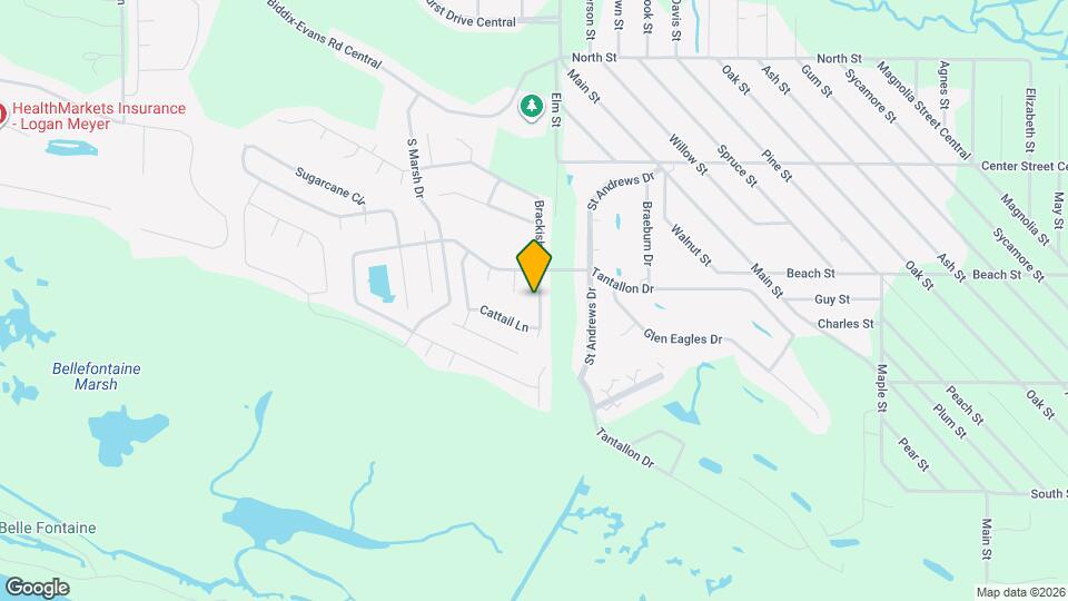 125 Brackish Pl Map and Location Details