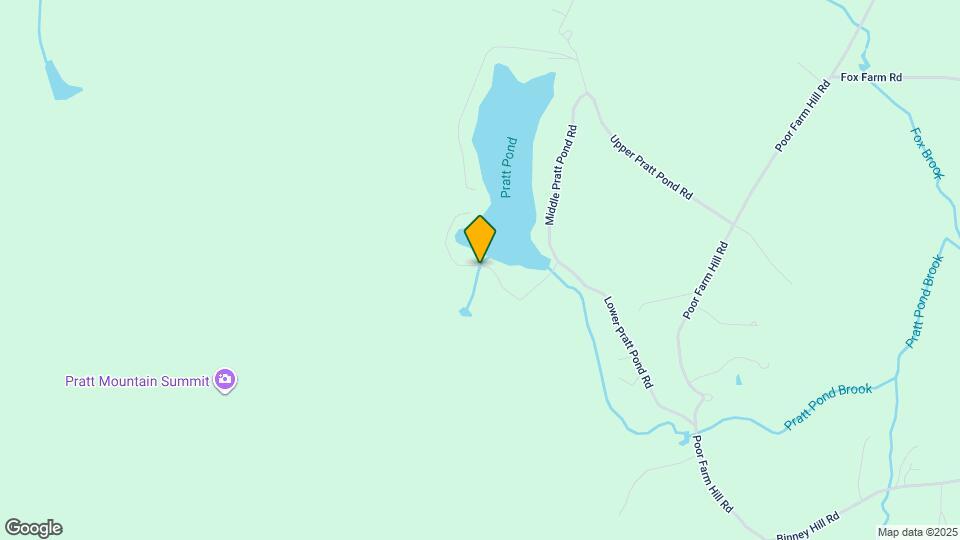 156 Lower Pratt Pond Rd Map and Location Details