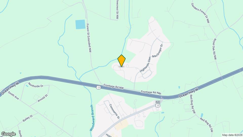 81 Highland Forest Cir Mapa y Detalles de la Ubicación