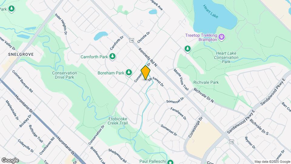 31 Mount Forest Dr Map and Location Details
