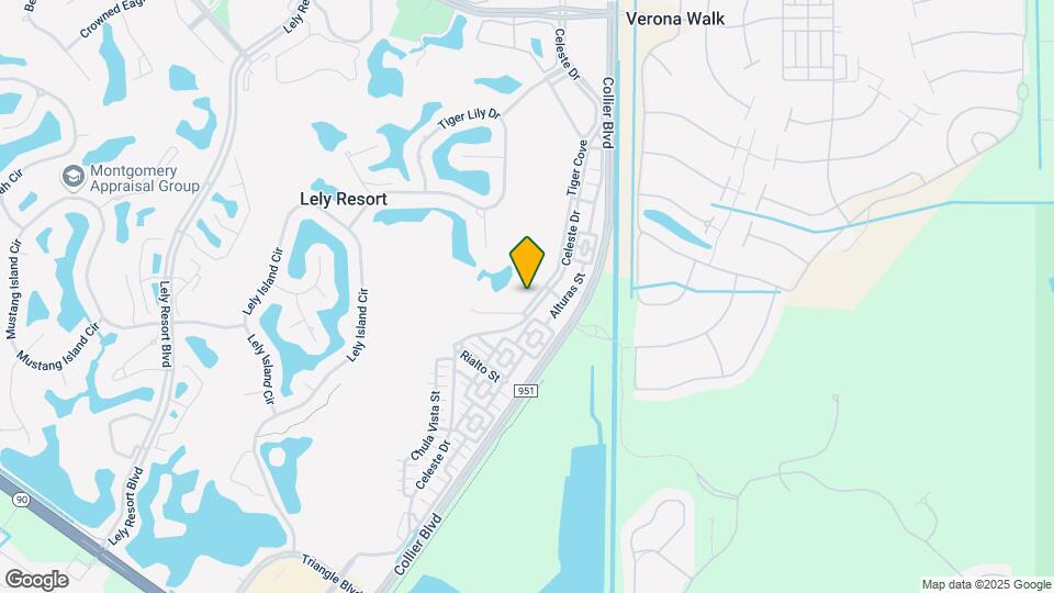 8491 Chase Preserve Dr Mapa y Detalles de la Ubicación