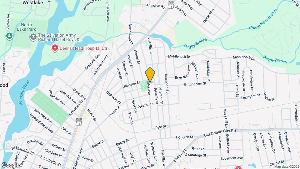 513 Decatur Ave Map and Location Details