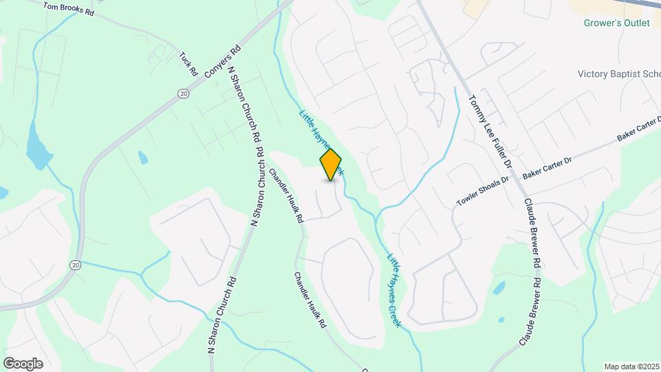 229 Ivy Creek Dr Map and Location Details
