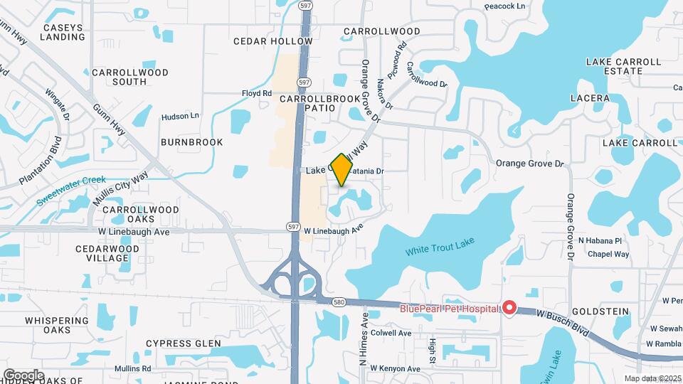 Grand at Olde Carrollwood Mapa y Detalles de la Ubicación