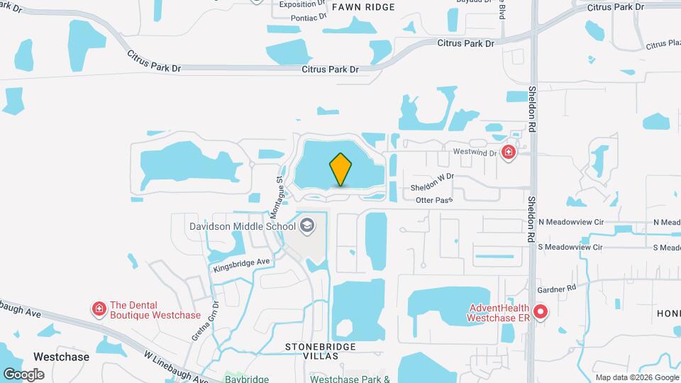 9646 Lake Chase Island Way Map and Location Details